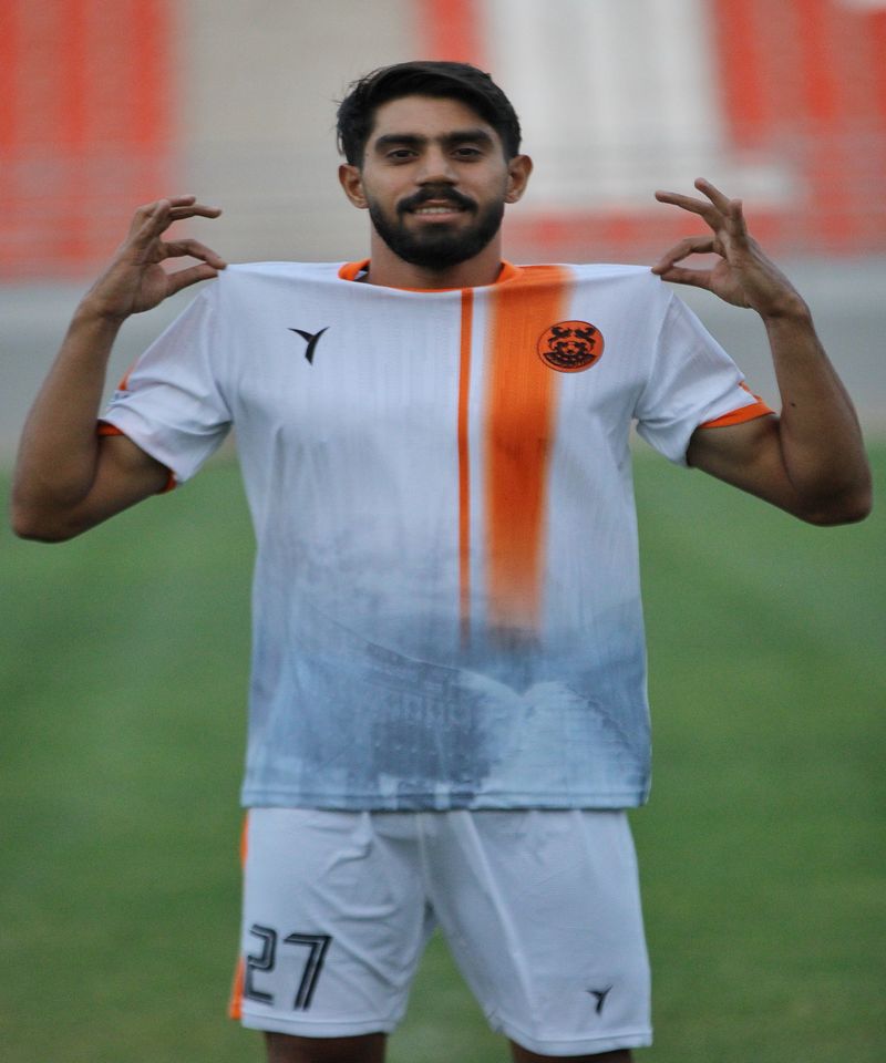 امیر ناصر مهدوی